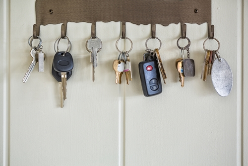 Researchers from Florida Atlantic University want to help caretakers learn when it's time for loved ones to hang up their keys to keep them safe.