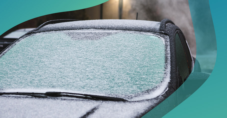 winter care care tips