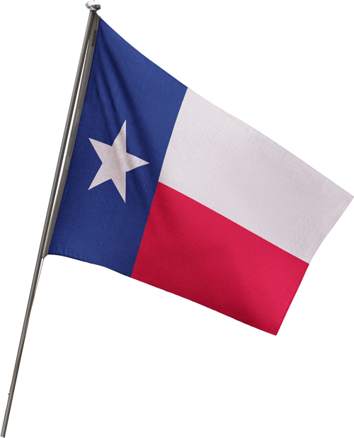 Texas State Flag on a Pole