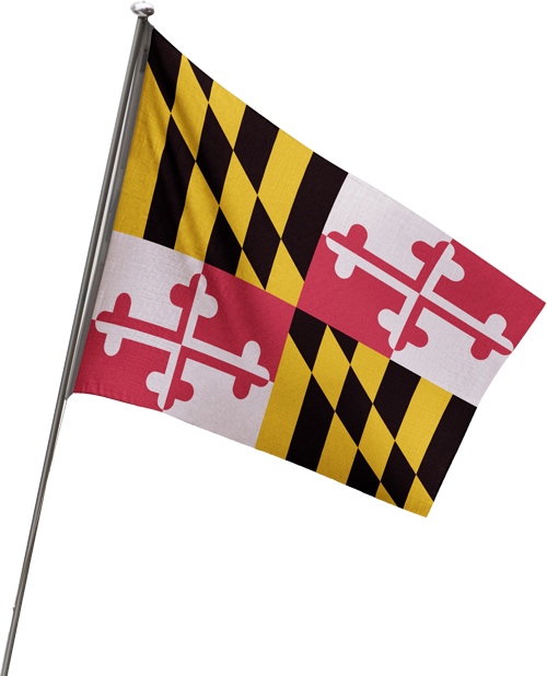 Maryland State Flag on a Pole