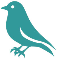 Earlybird icon