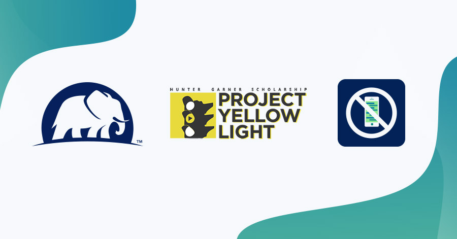 project yellow light and elephant insurance