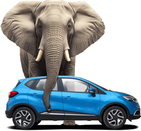 Elephant protecting blue car. No one protects like Elephant.